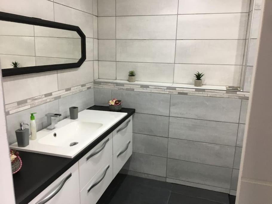 Villa Loft Le Nid De Cigogne à Sélestat Extérieur photo