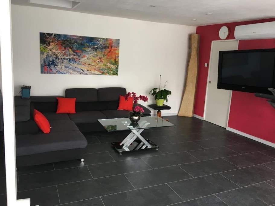 Villa Loft Le Nid De Cigogne à Sélestat Extérieur photo